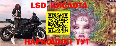 стаф Заводоуковск