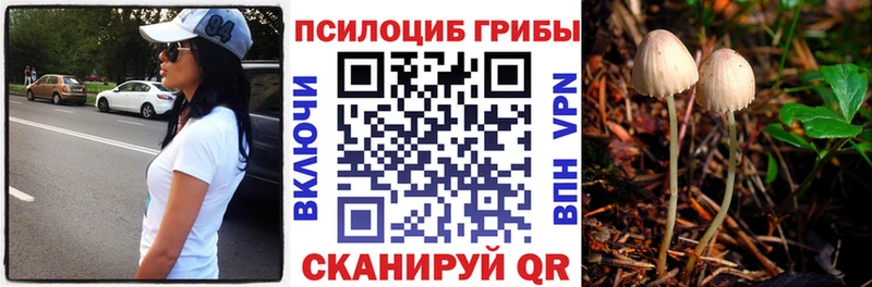 Галлюциногенные грибы MAGIC MUSHROOMS  KRAKEN вход  Медногорск 