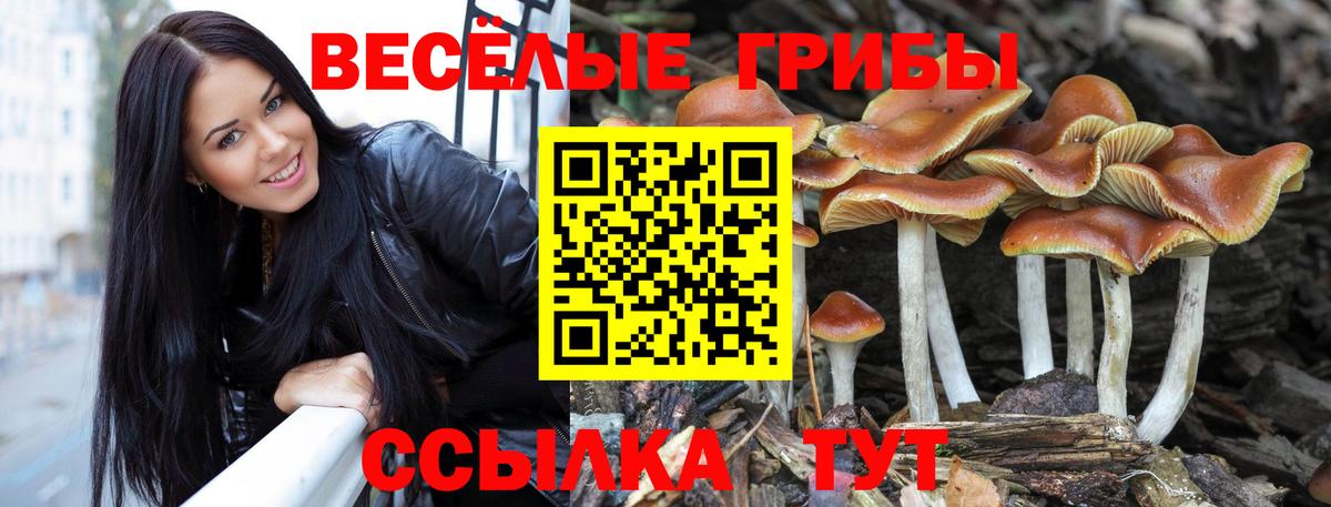 Медногорск  Галлюциногенные грибы мухоморы  Вход с VPN 